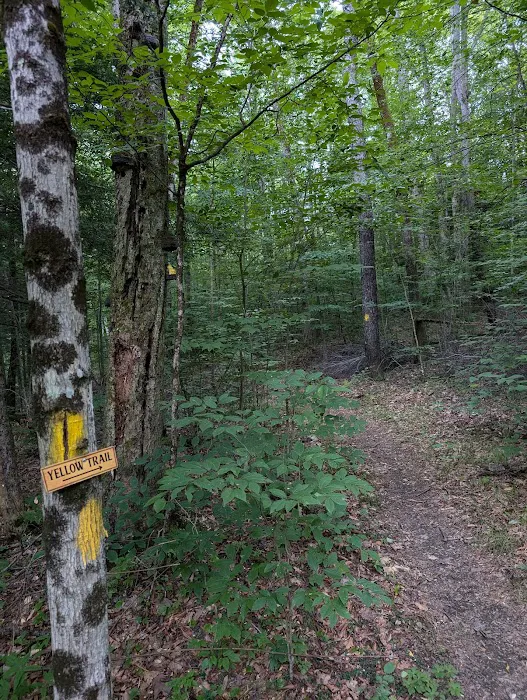 Jones Pond Mens Only Campground & RV Park Picture 3
