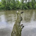 Fred J Doberstein Overlook Campground