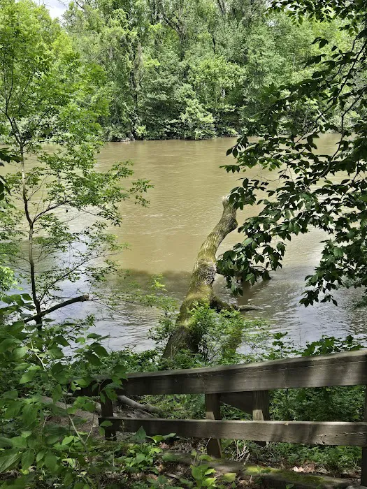 Fred J Doberstein Overlook Campground Picture 6