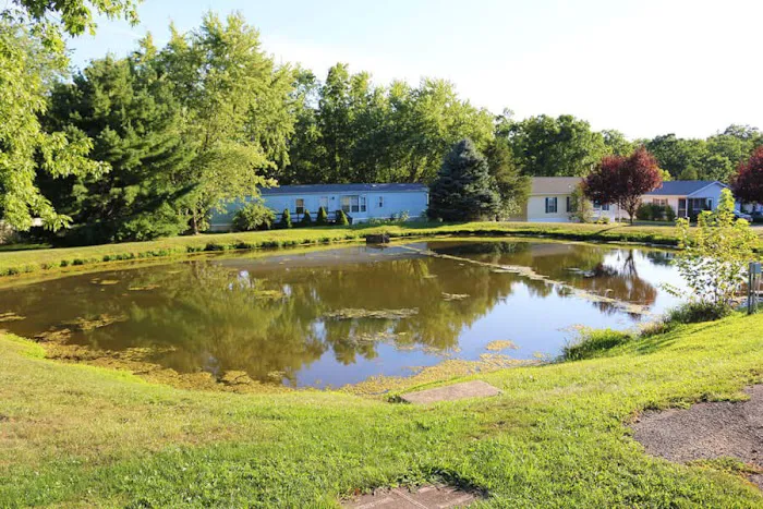 ABC Home Sales - Green Hill Picture 2