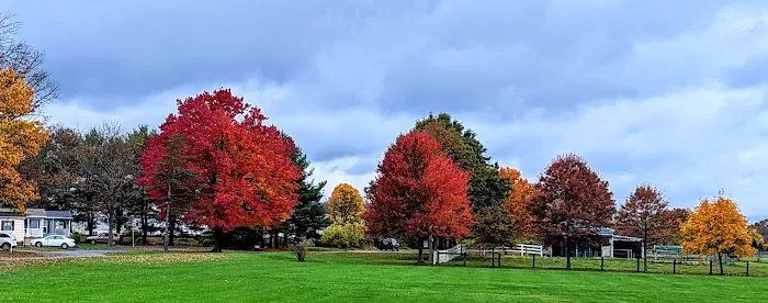Oak Grove Park & Sales Picture 6