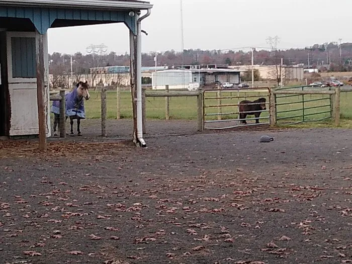 Oak Grove Park & Sales Picture 2