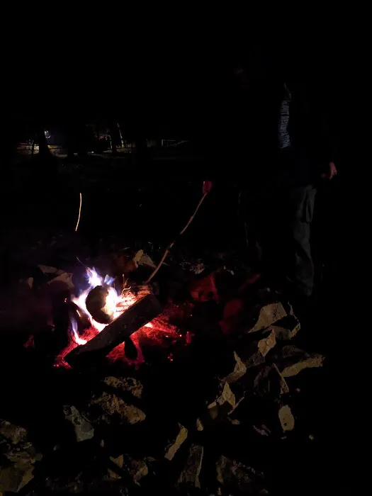 Delmont Scout Reservation Picture 3