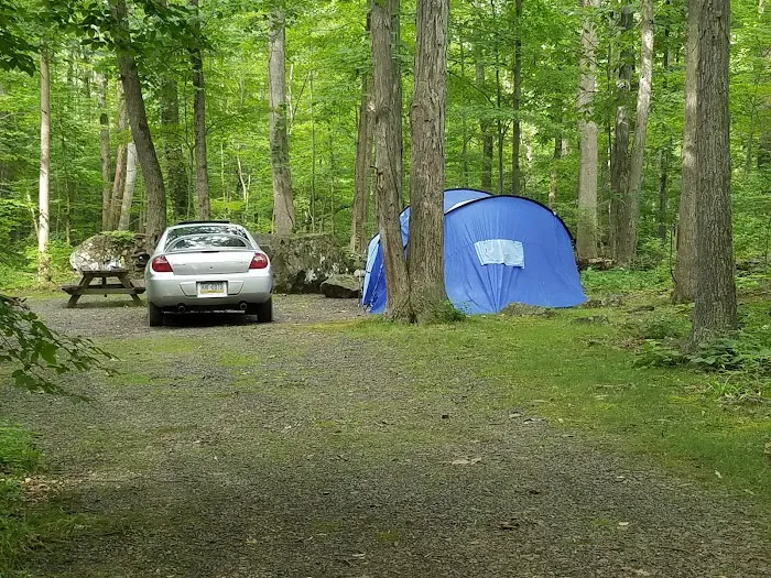 Homestead Family Campground Picture 4