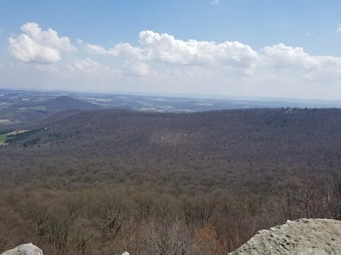 Blue Rocks Picture 4