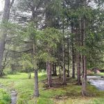 Oreland Troop 1 Hawk Mountain Camp