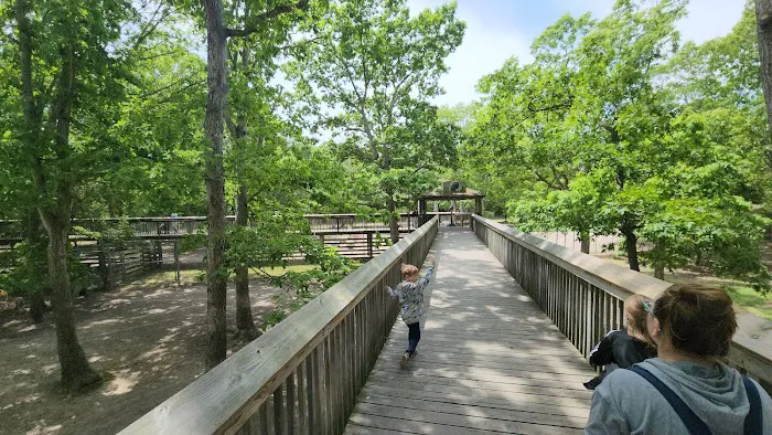 Thousand Trails Sea Pines Picture 9