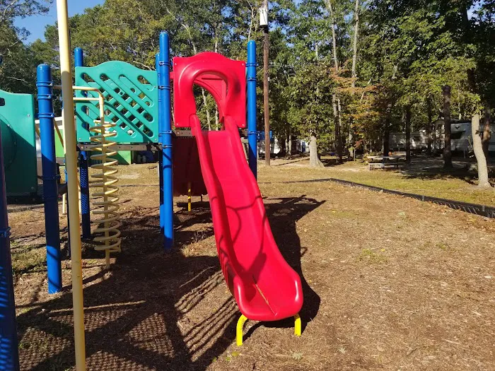 Green Holly Campground Picture 6