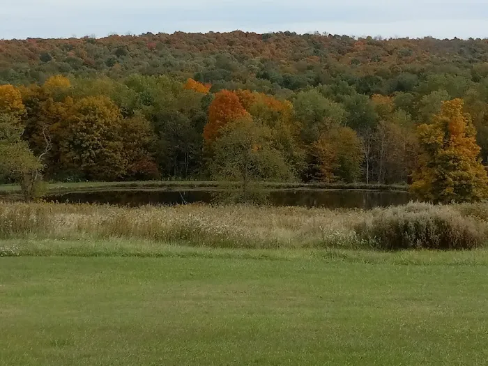 Campers Hill Picture 9