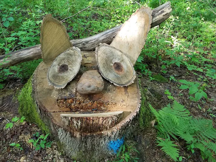 Brushwood Folklore Center, LLC Picture 4