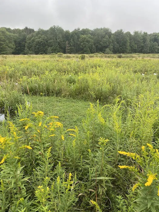 Brushwood Folklore Center, LLC Picture 7