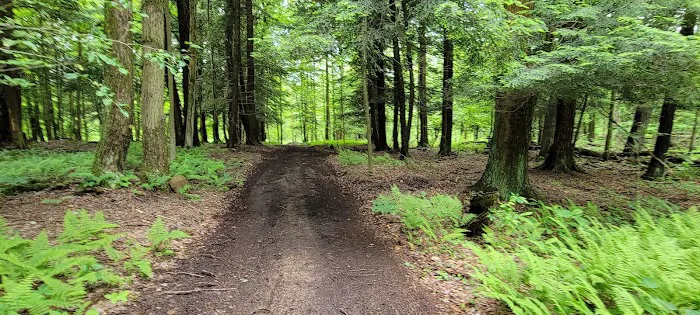 Savidge's Creekside Campgrounds Picture 2