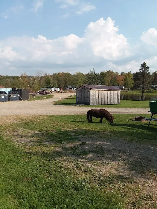 Family Affair Campground Picture 10