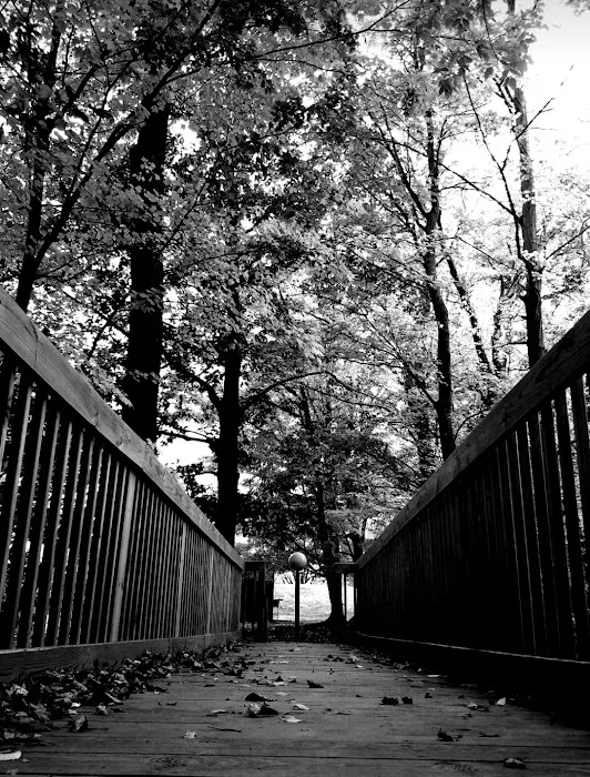 Westfield / Lake Erie KOA Journey Picture 6
