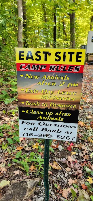 Steelhead Run East Campsite Picture 1