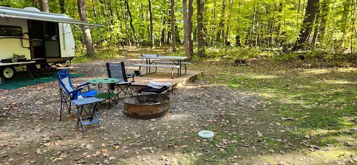 Steelhead Run East Campsite Picture 4