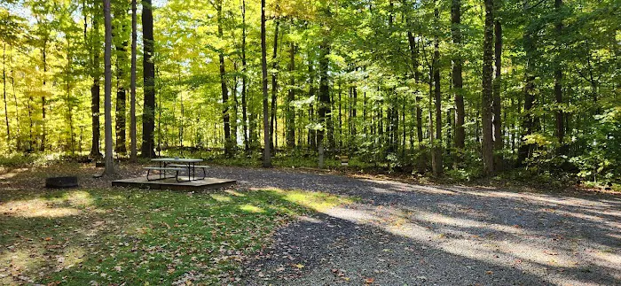 Steelhead Run East Campsite Picture 2