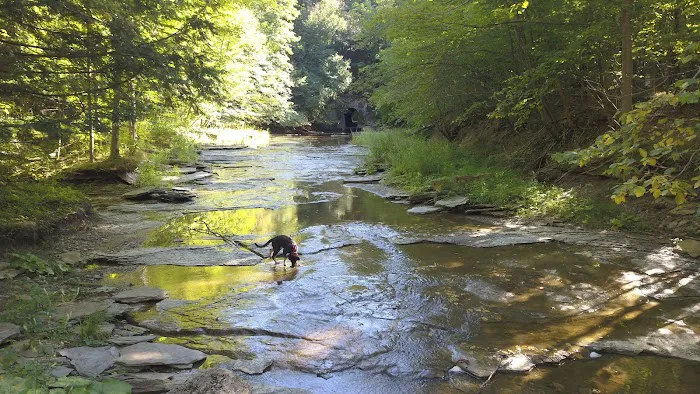 Eriegrove Picture 5