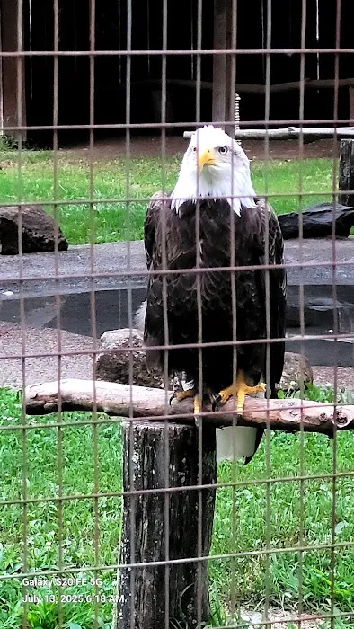 Knoebels (SA-60) Picture 1