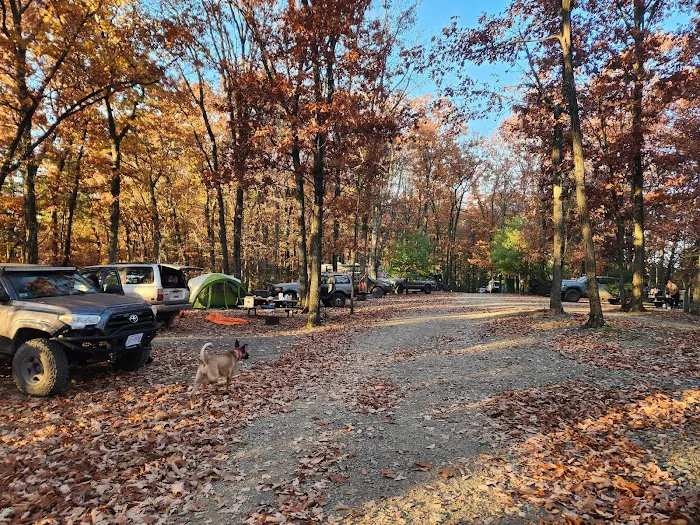 Mossy Point Campground Picture 9