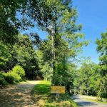 Mossy Point Campground