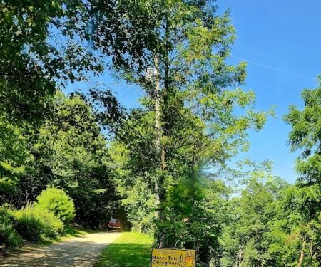 Mossy Point Campground