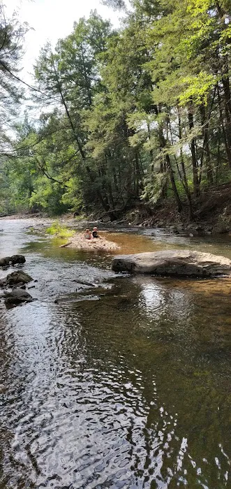 Springbrook Family Campground Picture 6
