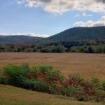 Meredith Colony RV Park