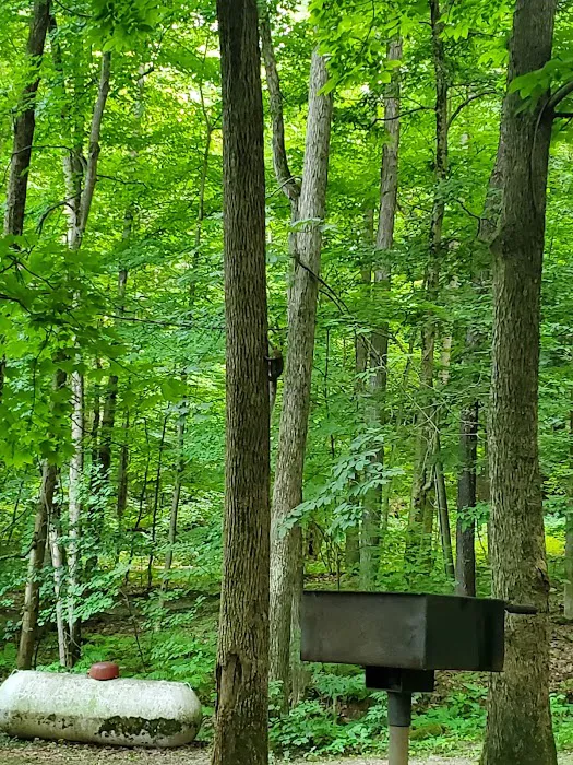 Letchworth D Cabins Picture 9