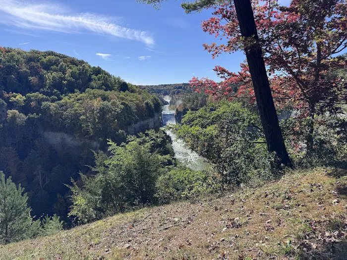 Letchworth State Park D Cabins Picture 8