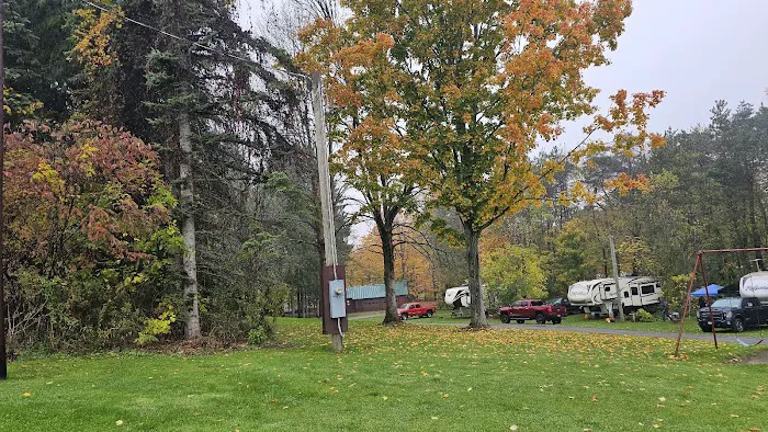 Woodstream Campsite Picture 1