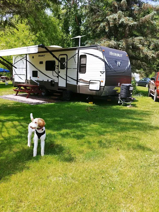 Woodstream Campsite Picture 5