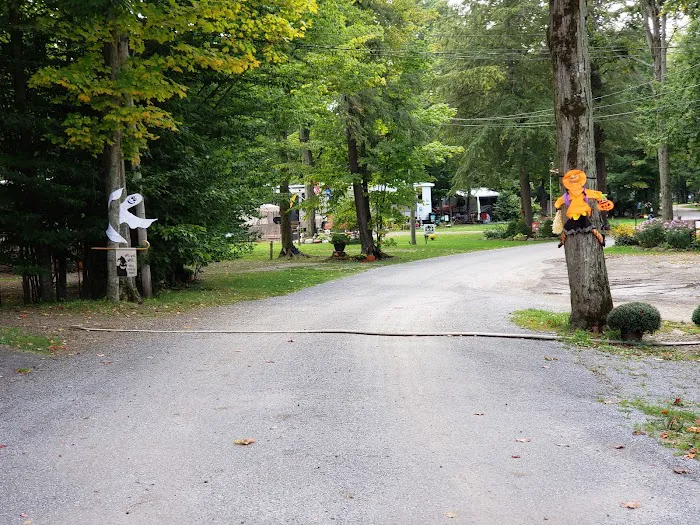 Woodstream Campsite Picture 6
