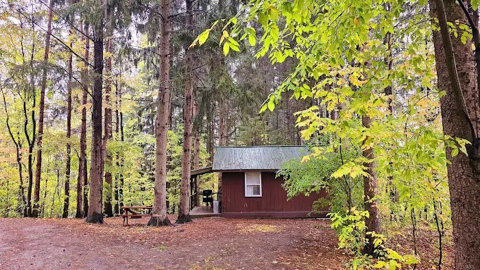 Woodstream Campsite Picture 2