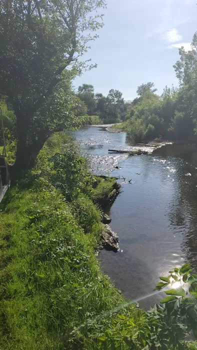 Mockingbird Park Picture 8