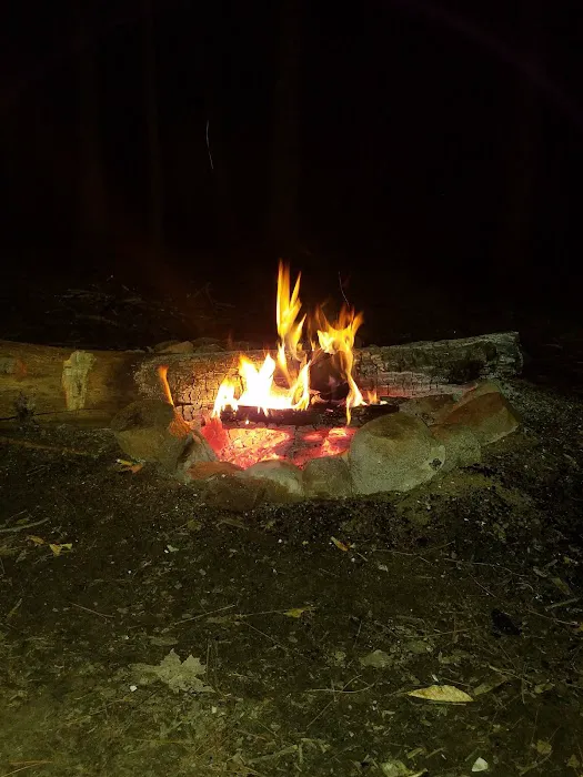 East Otto State Forest Campground Picture 8