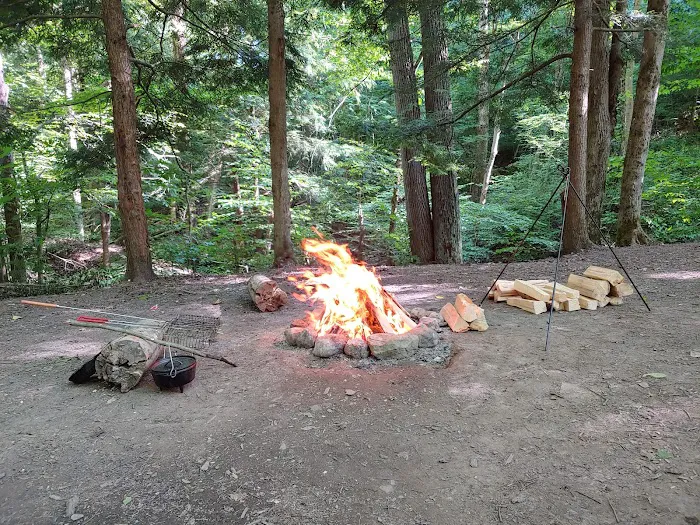 East Otto State Forest Campground Picture 10