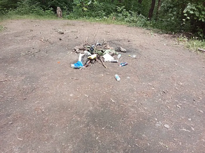 East Otto State Forest Campground Picture 7