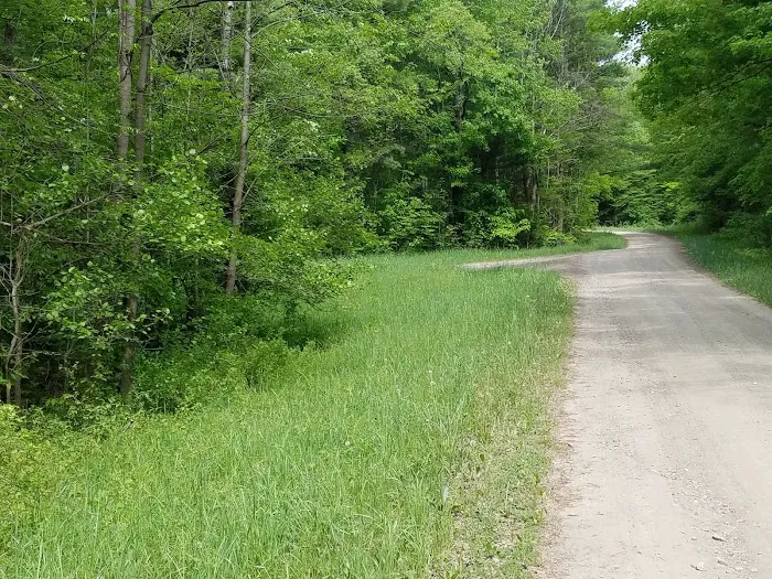 East Otto State Forest Campground Picture 9