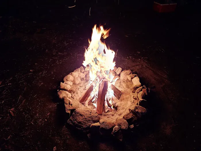 East Otto State Forest Campground Picture 5