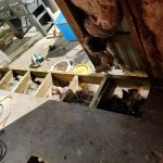 El Rancho Seven Mobile Home