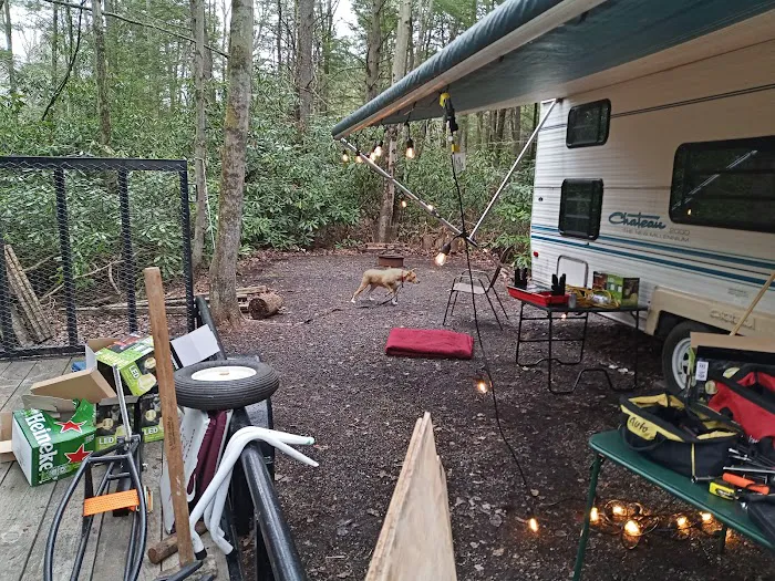 Laurel Lake Campsites Picture 7