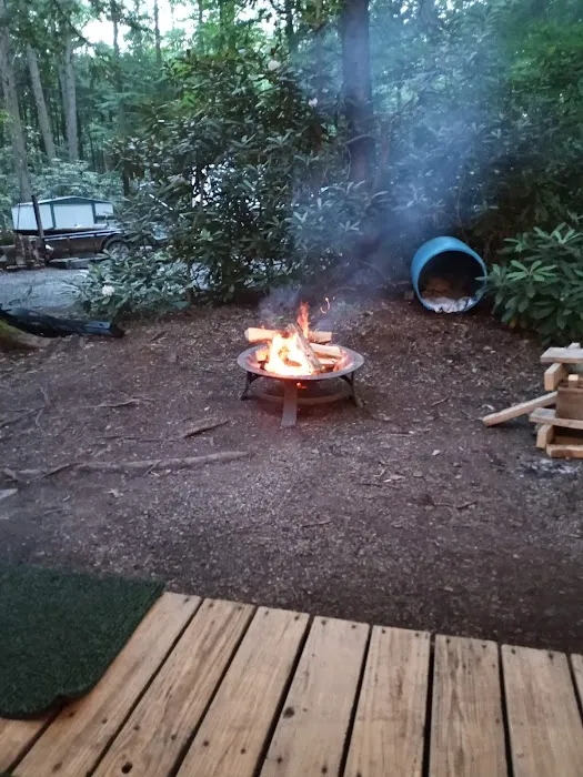 Laurel Lake Campsites Picture 6