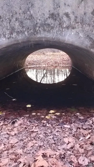 Kutztown Campground New Dutch Picture 4