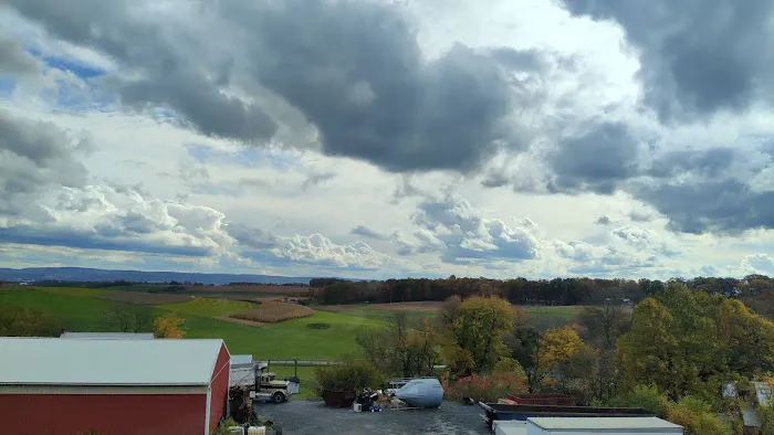 Pine Hill RV Park Picture 2