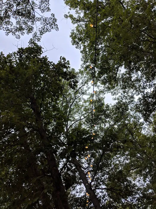 Shellbay Campground Picture 9