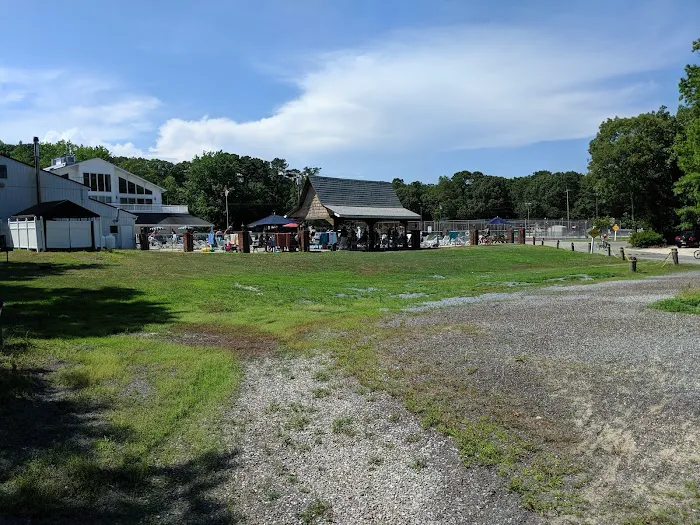 Shellbay Campground Picture 5