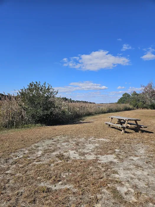 Old Stagecoach Campground Picture 1