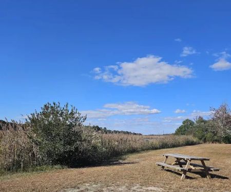 Old Stagecoach Campground