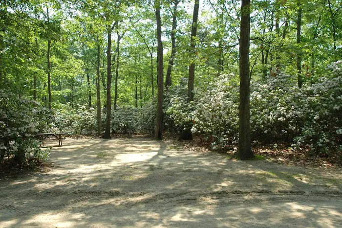 Baker's Acres Campground, Inc. Picture 4